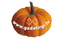 gadatirgi.lv